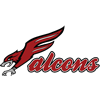 Falcon Logo 